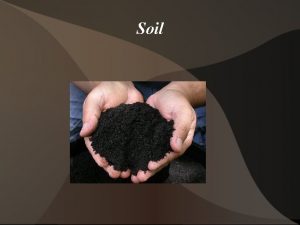 Soil What is soil Mixture of inorganic material