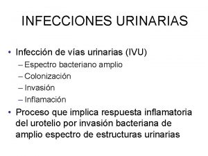 INFECCIONES URINARIAS Infeccin de vas urinarias IVU Espectro