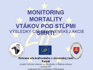 MONITORING MORTALITY VTKOV POD STPMI VSLEDKY CELOSLOVENSKEJ AKCIE