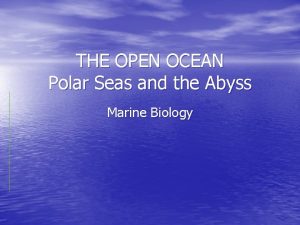 THE OPEN OCEAN Polar Seas and the Abyss