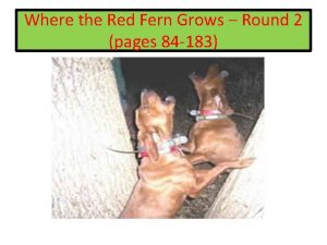 Where the Red Fern Grows Round 2 pages