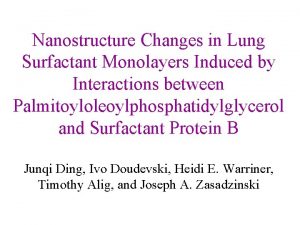 Nanostructure Changes in Lung Surfactant Monolayers Induced by