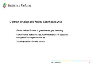 Carbon binding and forest asset accounts Forest related