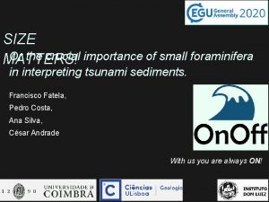 SIZE Or the crucial importance of small foraminifera