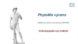 Phyto Mix vyrams Efektyvi prostatos susirgim profilaktika Natrali