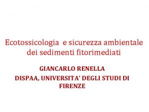 Ecotossicologia e sicurezza ambientale dei sedimenti fitorimediati GIANCARLO