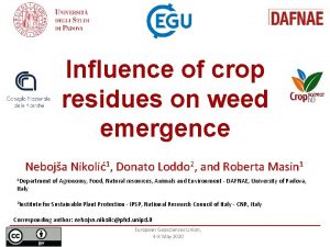 Influence of crop residues on weed emergence Neboja