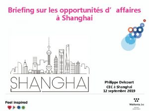 Briefing sur les opportunits daffaires Shanghai Philippe Delcourt