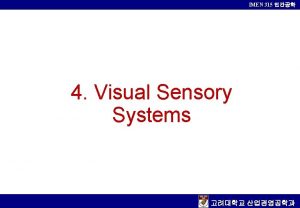 IMEN 315 4 Visual Sensory Systems IMEN 315