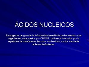 CIDOS NUCLEICOS Encargados de guardar la informacin hereditaria