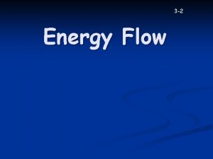 3 2 Energy Flow Producers Sunlight is the