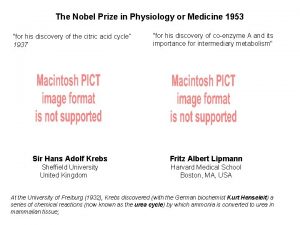 The Nobel Prize in Physiology or Medicine 1953