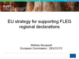 EU strategy for supporting FLEG regional declarations Mathieu