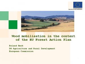 Wood mobilisation in the context of the EU