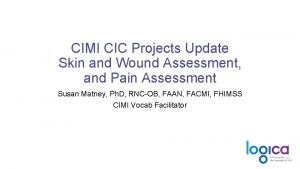 CIMI CIC Projects Update Skin and Wound Assessment