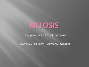 MITOSIS The process of Cell Division Jenn Wiesen