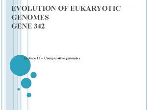 EVOLUTION OF EUKARYOTIC GENOMES GENE 342 Lecture 13