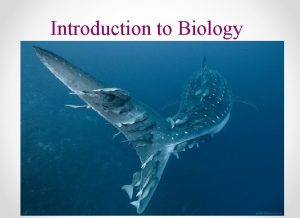 Introduction to Biology Characteristics of Life Biology is