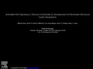 Activated Wnt Signaling in Stroma Contributes to Development