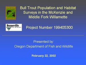 Bull Trout Population and Habitat Surveys in the