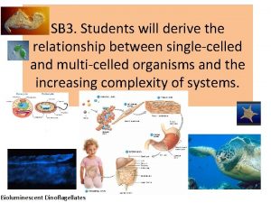 SB 3 Students will derive the relationship between