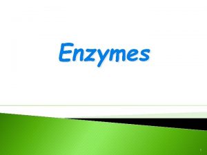 Enzymes 1 Most What Are Enzymes enzymes are