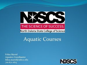 Aquatic Courses Felisa Mastel Aquatics Coordinator felisa mastelndscs