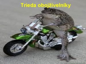 Trieda obojivelnky Povrch tela Hol vlhk koa preo