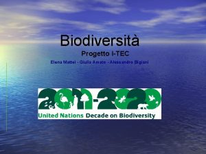 Biodiversit Progetto ITEC Elena Mattei Giulia Amato Alessandro