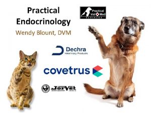 Practical Endocrinology Wendy Blount DVM Housekeeping Dylan our