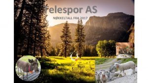 Telespor AS NKKELTALL FRA 2017 Nkkeltall for Radiobjella