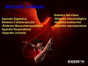 BIOLOGA HUMANA Aparato Digestivo Sistema Cardiovascular Sistema Musculoesqueltico