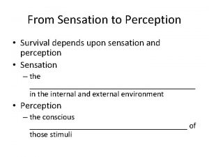 From Sensation to Perception Survival depends upon sensation