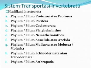 Sistem Transportasi Invertebrata Klasifikasi Invertebrata a Phylum Filum