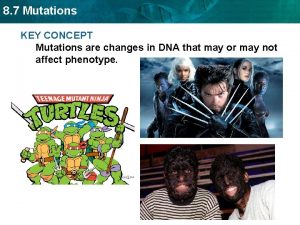 8 7 Mutations KEY CONCEPT Mutations are changes