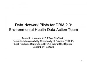 Data Network Pilots for DRM 2 0 Environmental