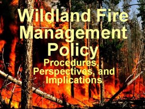 Wildland Fire Management Policy Procedures Perspectives and Implications