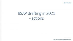 BSAP drafting in 2021 actions Timeline for 2021