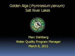 Golden Alga Prymnesium parvum Salt River Lakes Marc