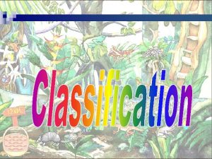 Classification n Animals are separated into groups or