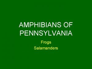 AMPHIBIANS OF PENNSYLVANIA Frogs Salamanders Eastern American Toad