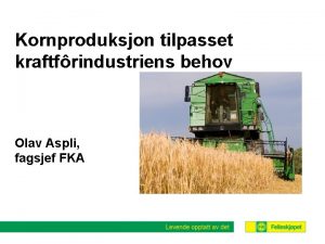 Kornproduksjon tilpasset kraftfrindustriens behov Olav Aspli fagsjef FKA