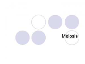 Meiosis Meiosis vs Mitosis l Homologous chromosomes paired