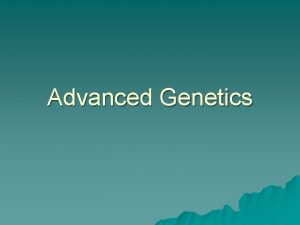 Advanced Genetics Review Dominant vs Recessive u If