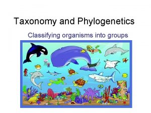 Taxonomy and Phylogenetics Classifying organisms into groups Mollusca