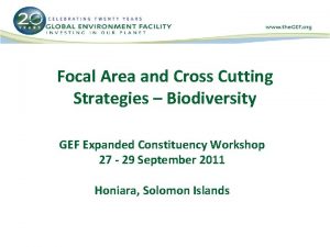 Focal Area and Cross Cutting Strategies Biodiversity GEF