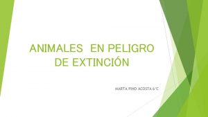 ANIMALES EN PELIGRO DE EXTINCIN MARTA PINO ACOSTA