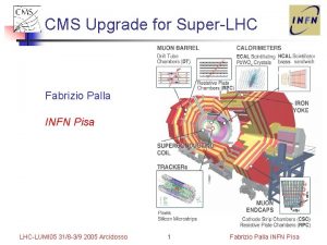 CMS Upgrade for SuperLHC Fabrizio Palla INFN Pisa