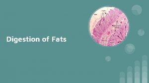 Digestion of Fats Why do we need fats