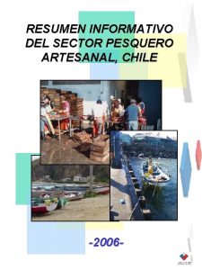 RESUMEN INFORMATIVO DEL SECTOR PESQUERO ARTESANAL CHILE 2006